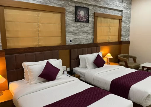 Deluxe Twin Room