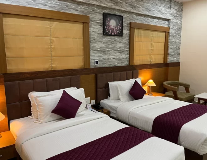 Deluxe Twin Room